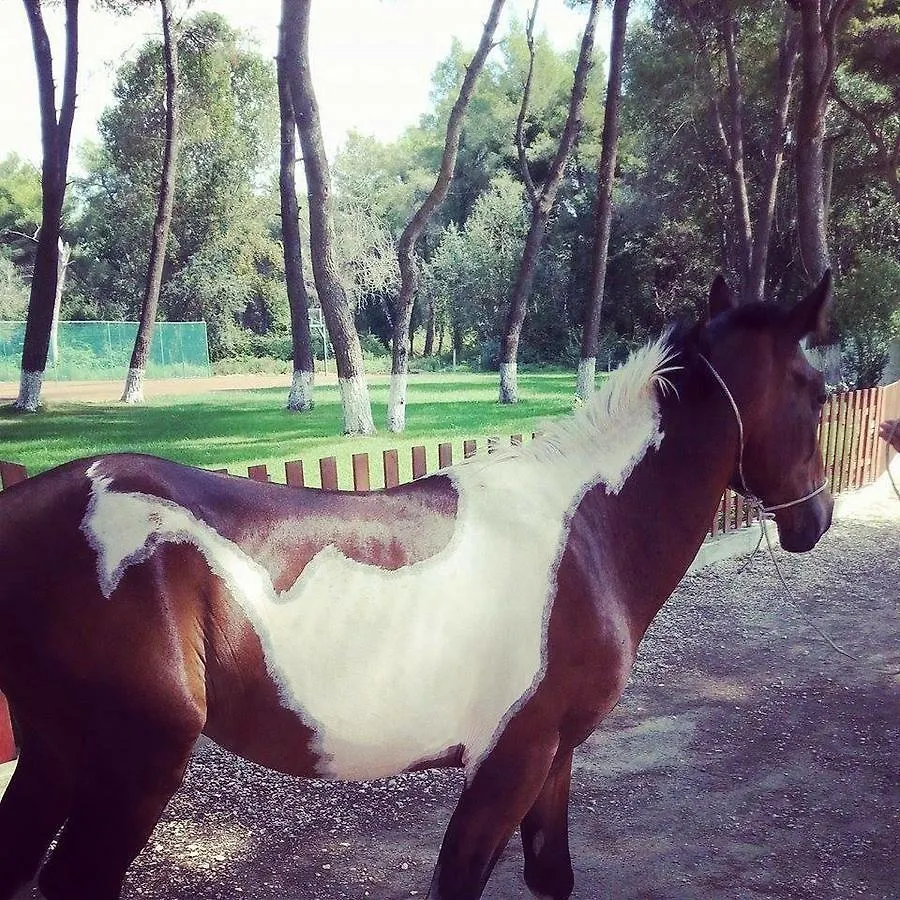***  Divjaka Resort Albania