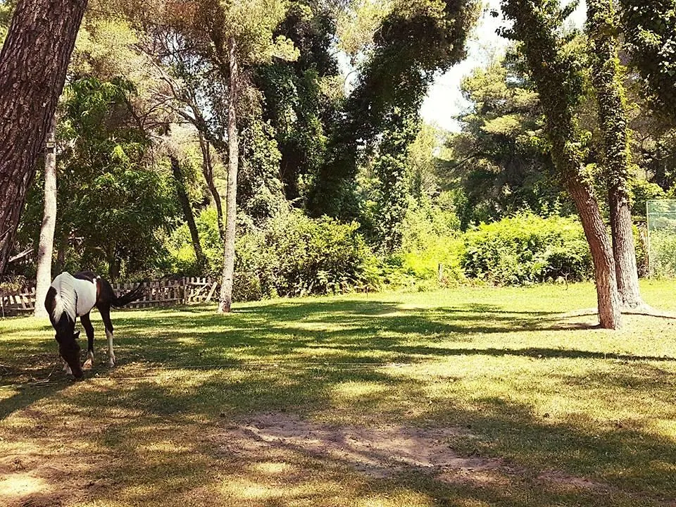 Divjaka Resort